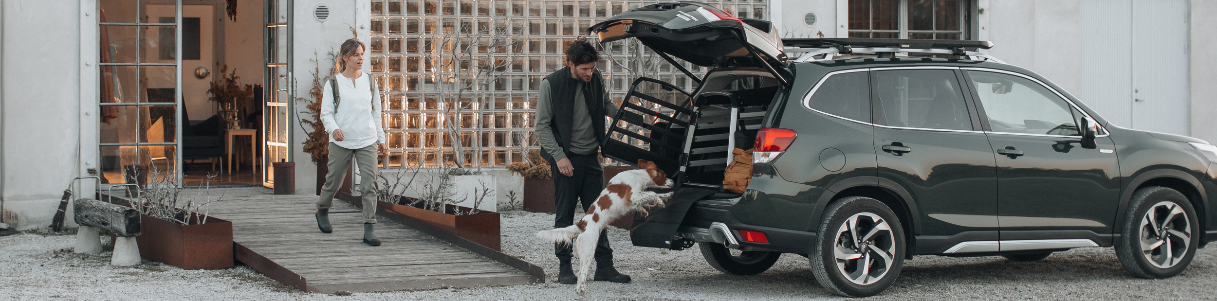 Dog Crates for transporting dogs safely in car boots