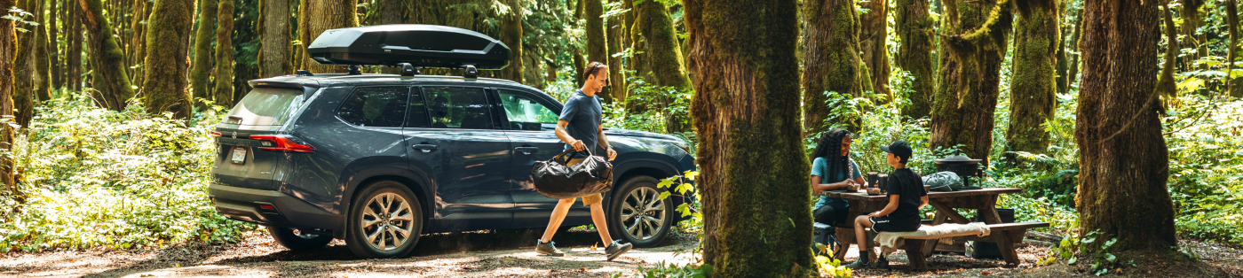 Thule Force 3 Car Top Boxes