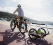 Reacha City Bike Trailers 