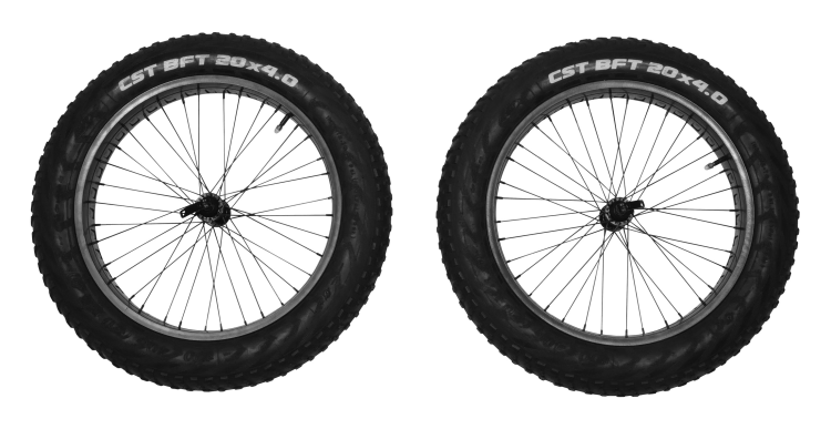 Reacha Fat Bike Wheels for off road conditions
