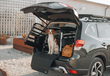 Thule Dog Crates - Allax 